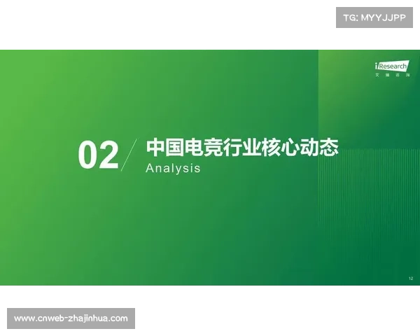 电竞适老化趋势加速 银发玩家增速年均达37%